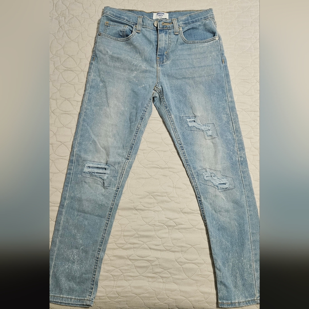 Denizen Levi's